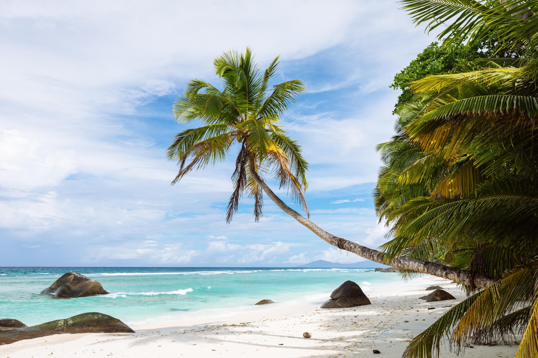 Niva Labriz Seychelles